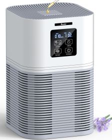 Air Purifier - FBA Warehouse Shipping, Amazon Banned (Option: Air purifier)
