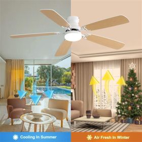 Indoor Modern 52 Inch Ceiling Fan (Option: Matte White)